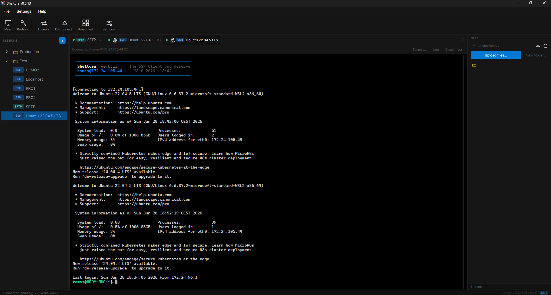 Sheltora SSH terminal with a live session and the remote file panel open.